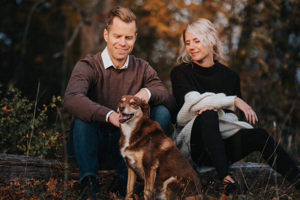 hundfotografering-sundsvall