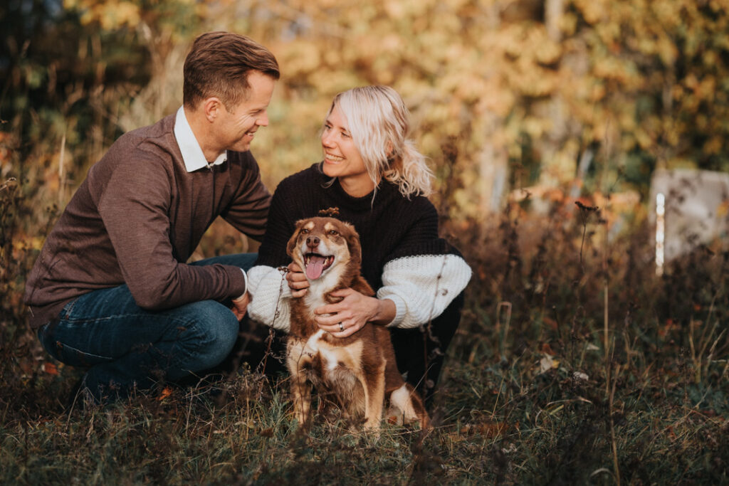 hundfotografering-sundsvall-fotografmissjeni-5