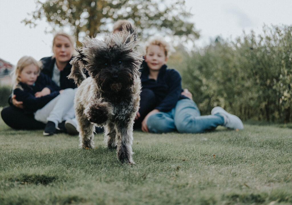 familjefotografering-stockholm-fotografmissjeni-hund